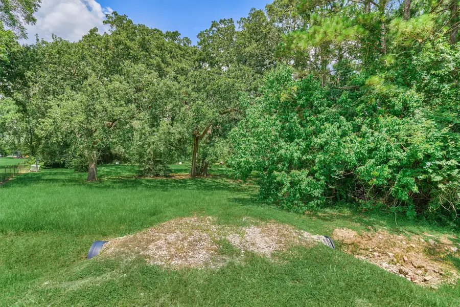 32214 Mink Creek Court, Magnolia, TX 77355 - #3