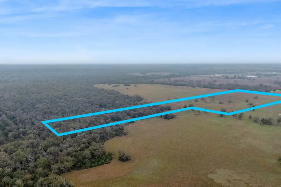 CR 123 - Tract 5, Bedias, TX 77831 - Image #2