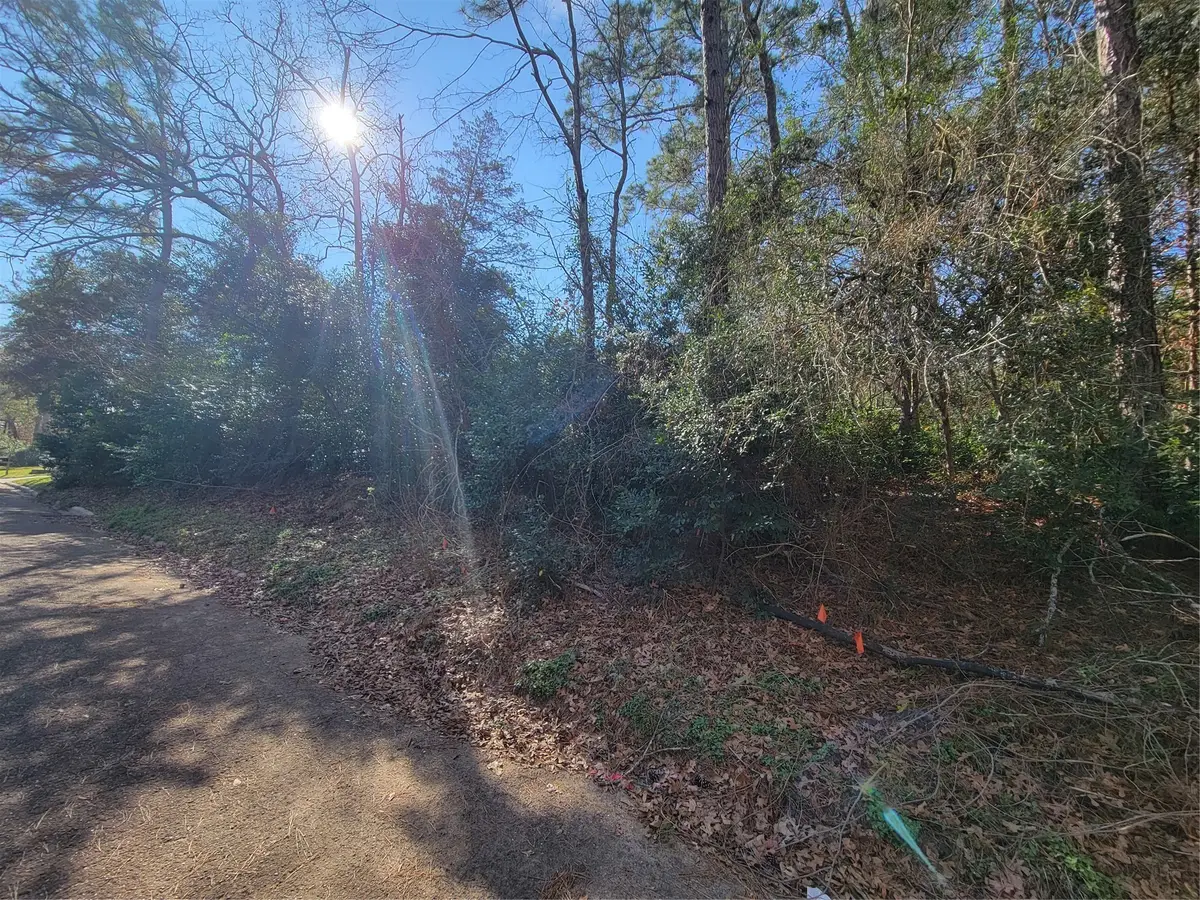 Lot 13-12149 Goliad, Willis, TX 77378 - #1