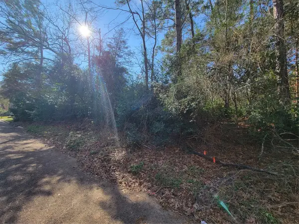 Lot 13-12149 Goliad, Willis, TX 77378