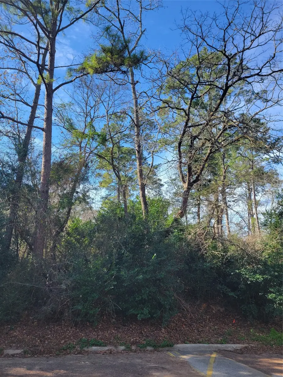 Lot 13-12149 Goliad, Willis, TX 77378 - #2