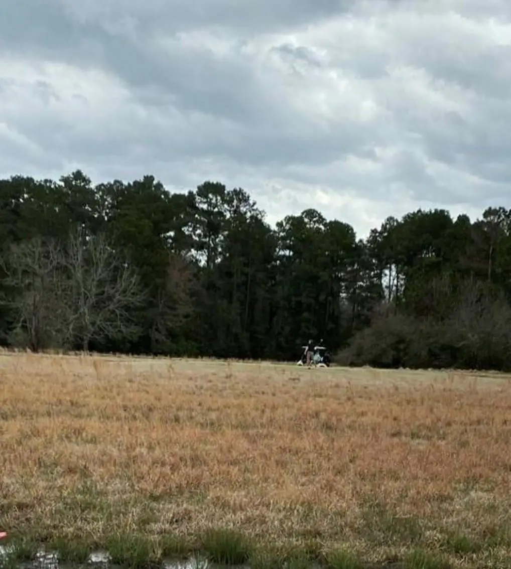 370 Dawns Edge, Trinity, TX 75862 - #1