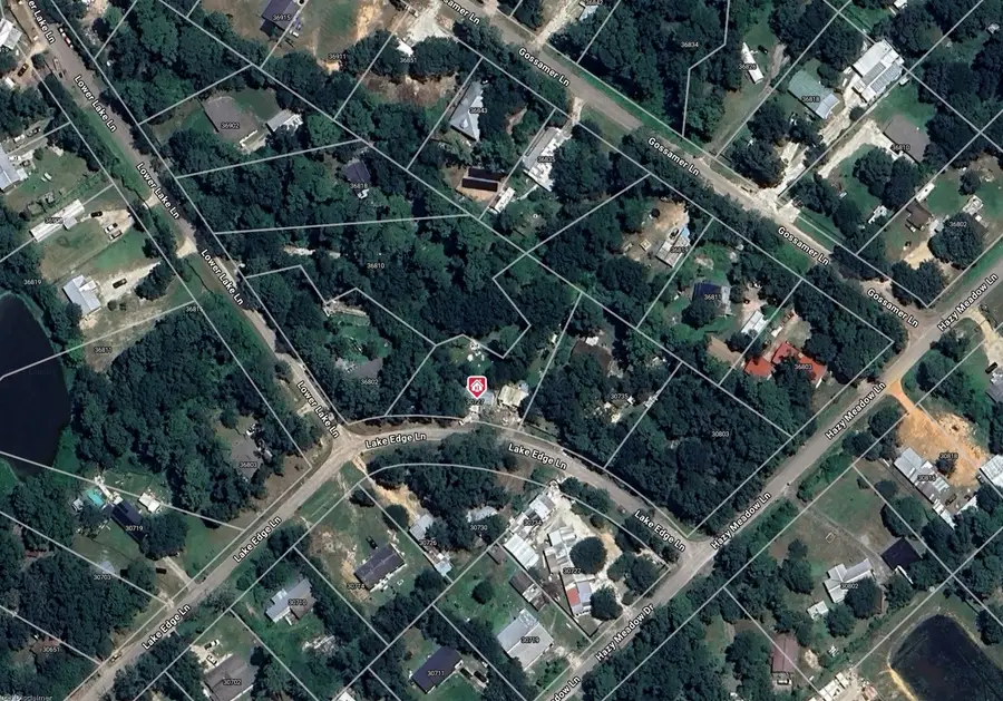 30727 Lake Edge Lane, Magnolia, TX 77354 - Image #3