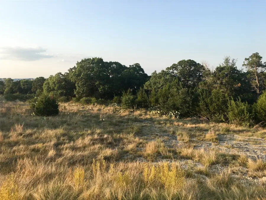 113 Enigma Avenue, Spring Branch, TX 78070 - Image #3