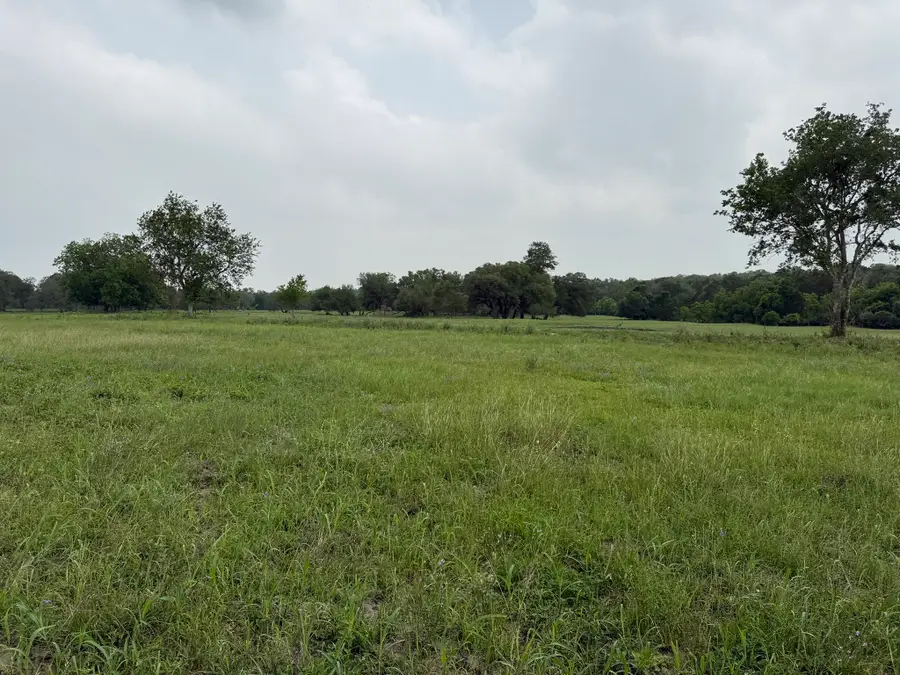 5719-5 Farm To Market 2238, Schulenburg, TX 78956 - #3