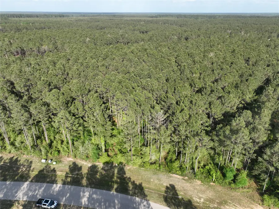 15750 Wooded Trail Way, Willis, TX 77378 - #2