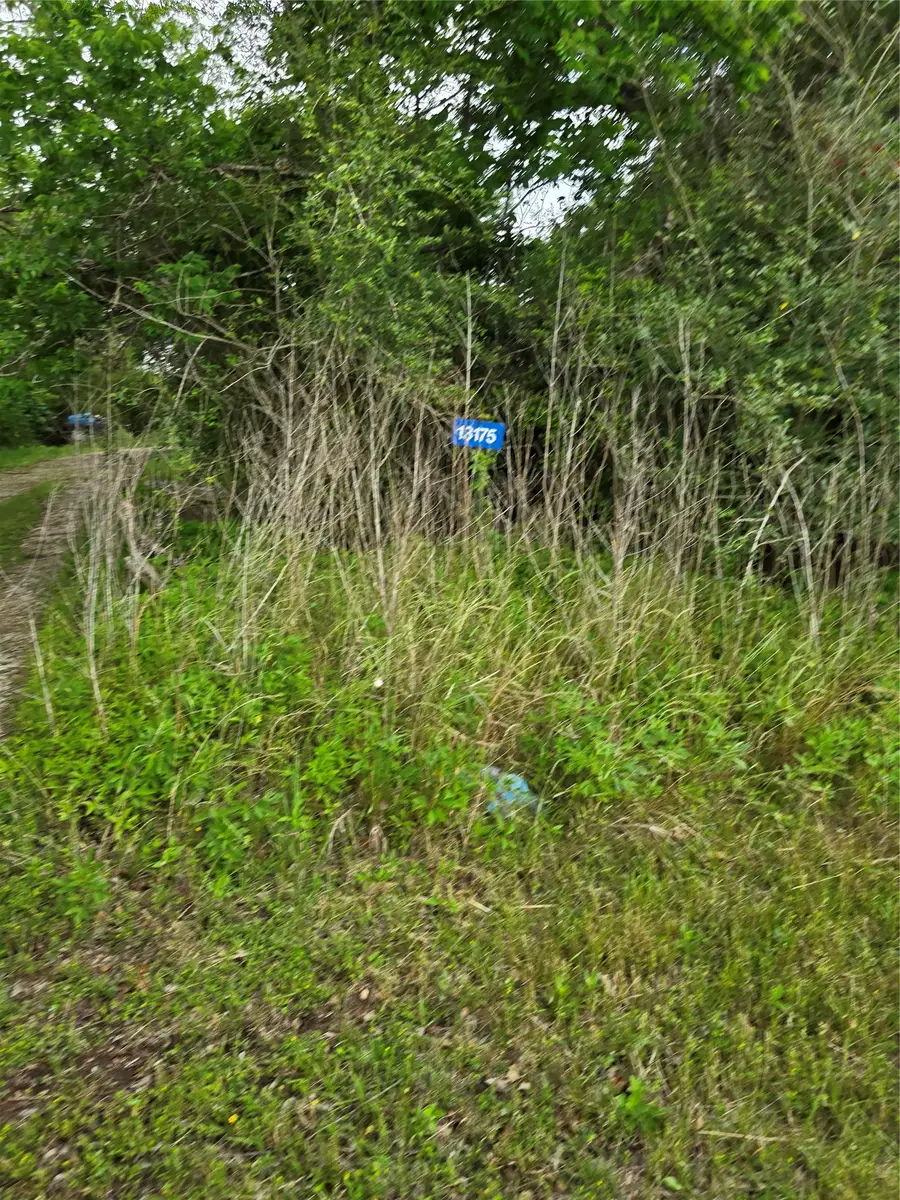 13175 Fm-1458, San Felipe, TX 77474 - #2