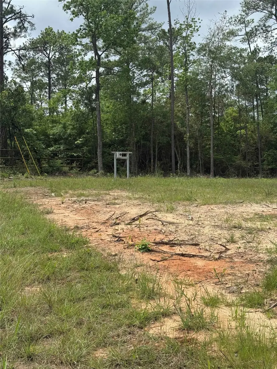 545 Private Road 6026, Brookeland, TX 75931 - #3