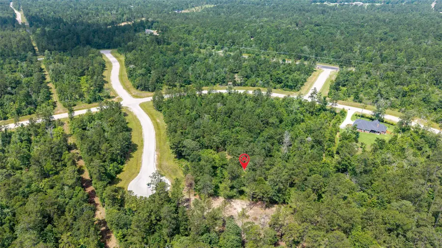 157 Iron Horse Road, New Waverly, TX 77358 - Image #2