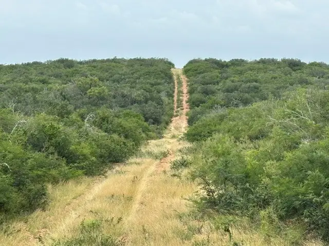 5394 Fm 2200 W, Moore, TX 78016 - #3