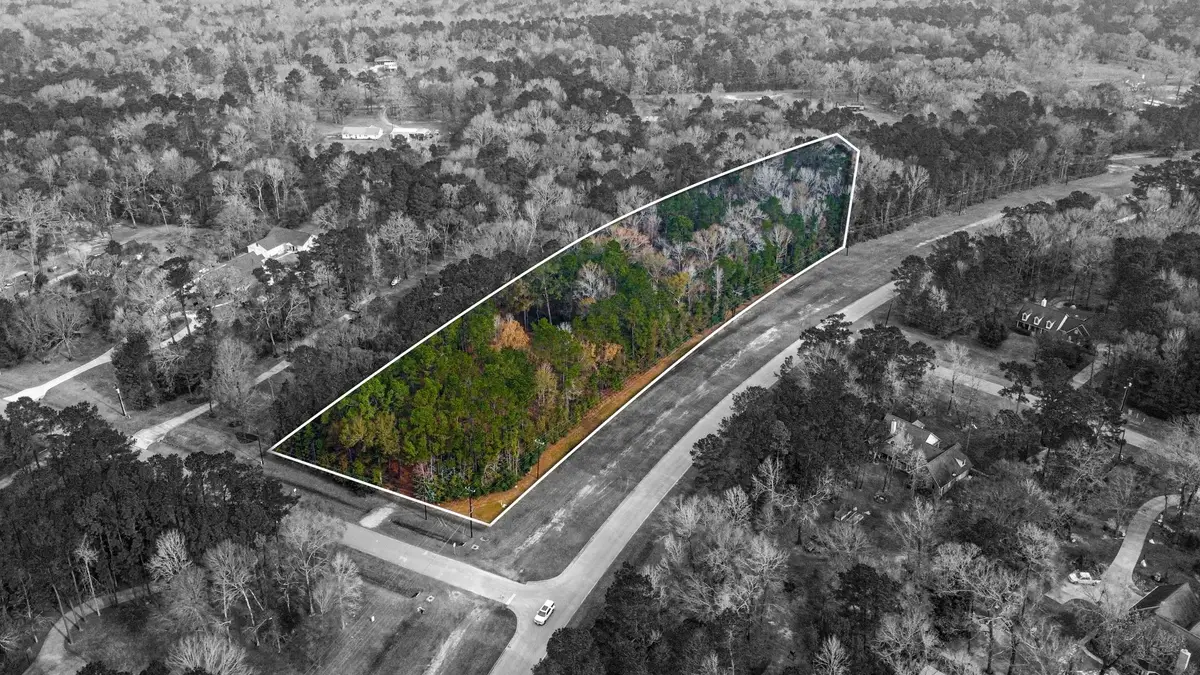 235 Lake Commons Court, Huffman, TX 77336 - #1