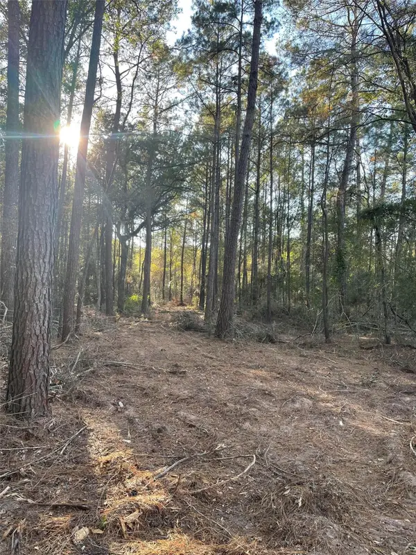 0 Hackberrry Drive, Plantersville, TX 77363