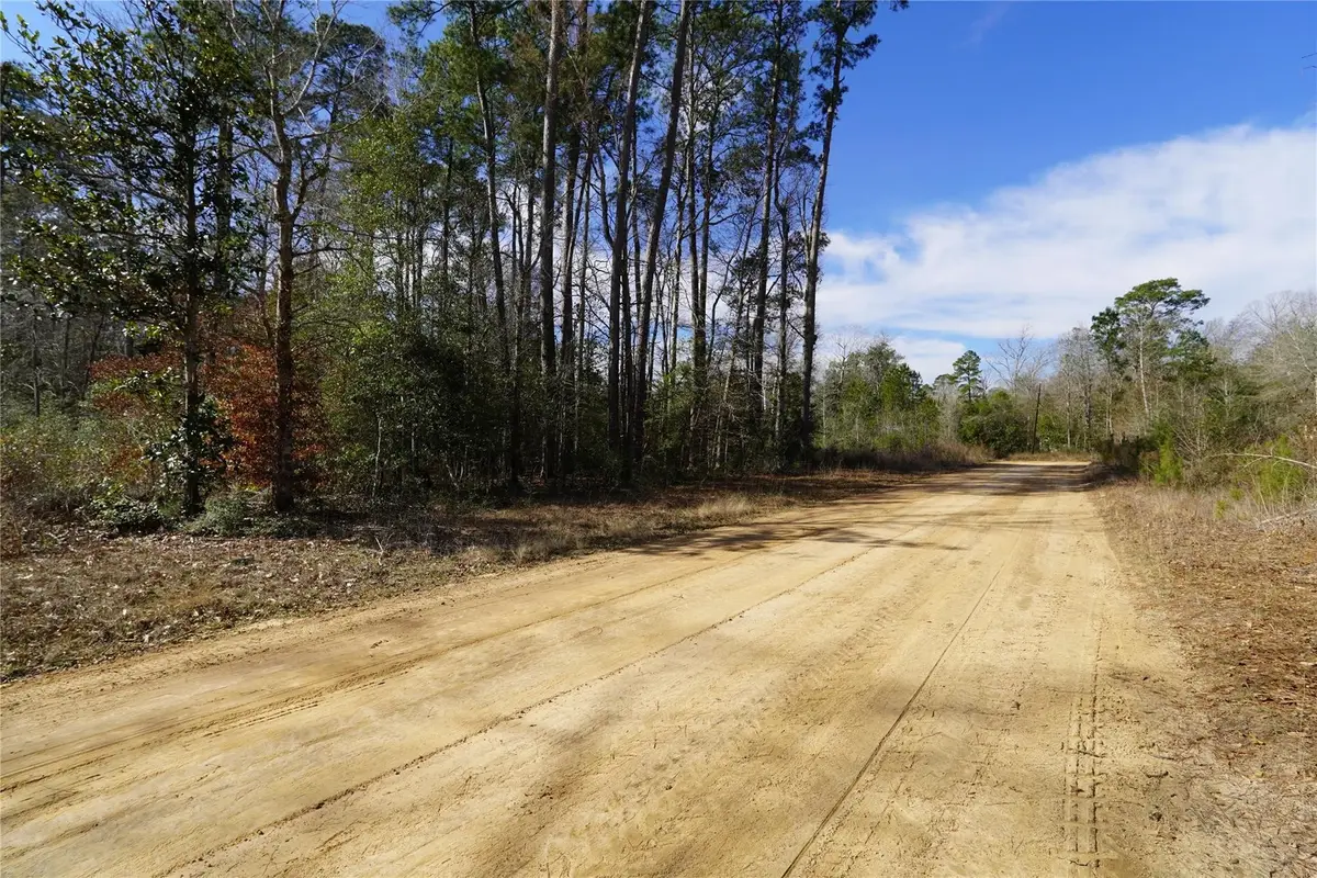 TBD Mustang Ridge, Livingston, TX 77351 - Image #1