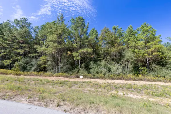 16002 Forest Mill Road, Willis, TX 77378