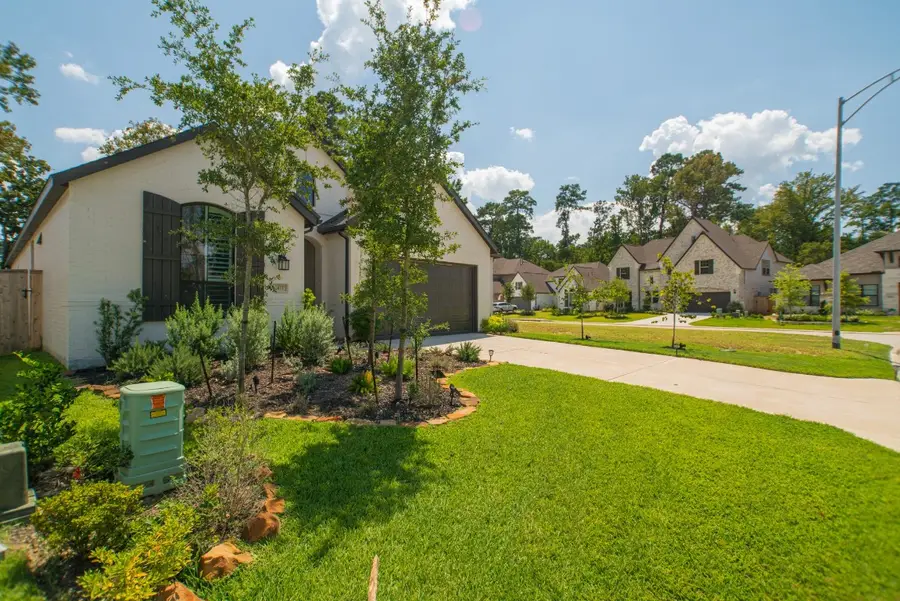 427 Boggy Belt Lane, Conroe, TX 77304 - #3