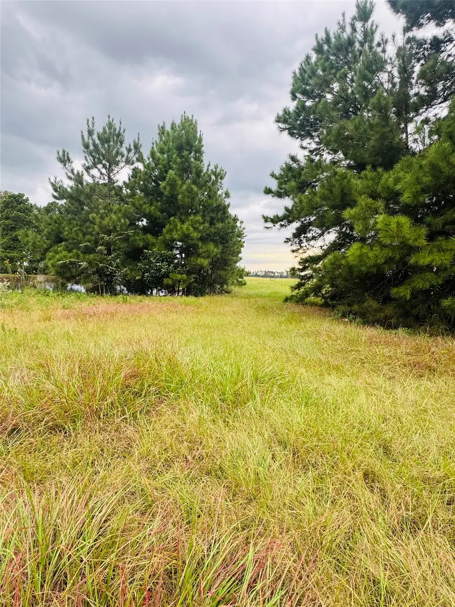 TBD Fm 770 N, Hull, TX 77564 - #2