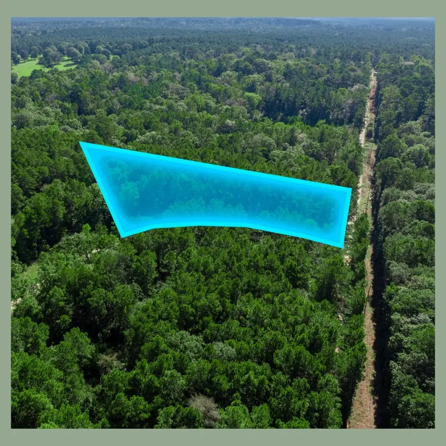 - Sweetgum Lane Lane, Oakhurst, TX 77359 - #3