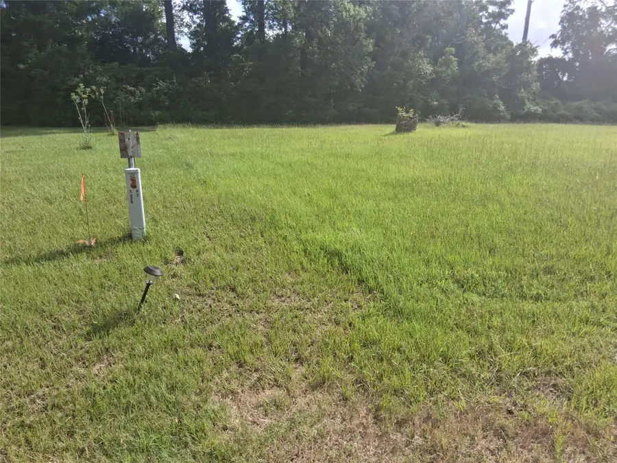 tbd Memphis Bell Road, Trinity, TX 75862 - #2