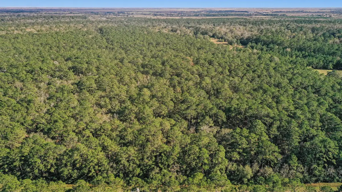 TBD Highway 61, Hankamer, TX 77560 - #1