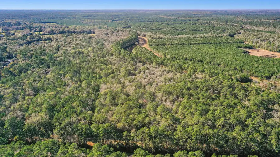TBD Highway 61, Hankamer, TX 77560 - #3