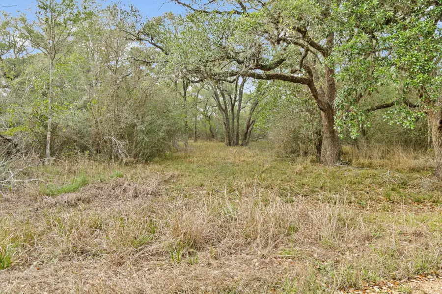 Tract 6 Fm 530, Edna, TX 77957 - #3