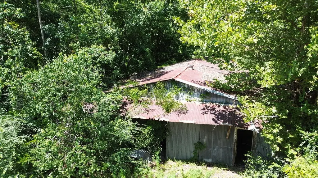.48 AC Fm 1013 W, Kirbyville, TX 75956 - #1