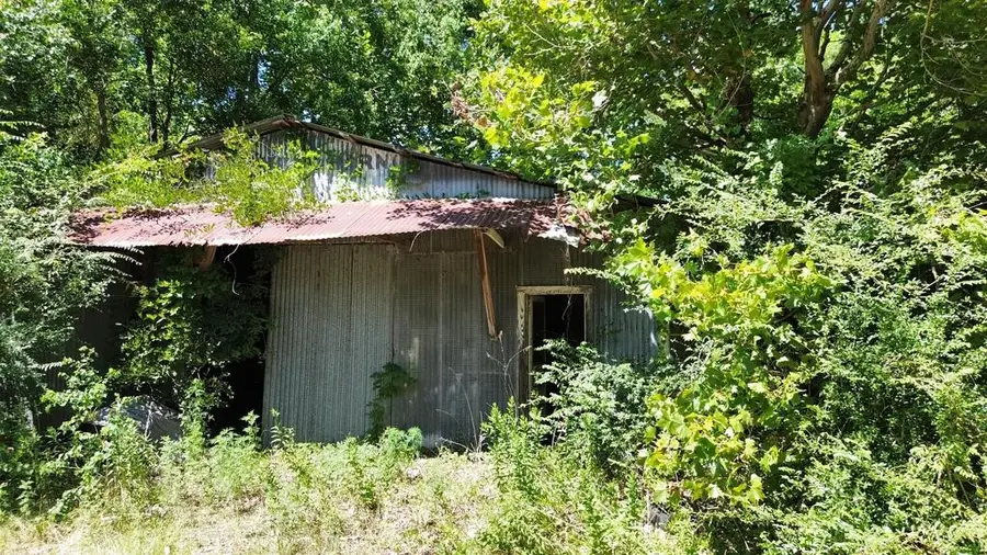 .48 AC Fm 1013 W, Kirbyville, TX 75956 - #2
