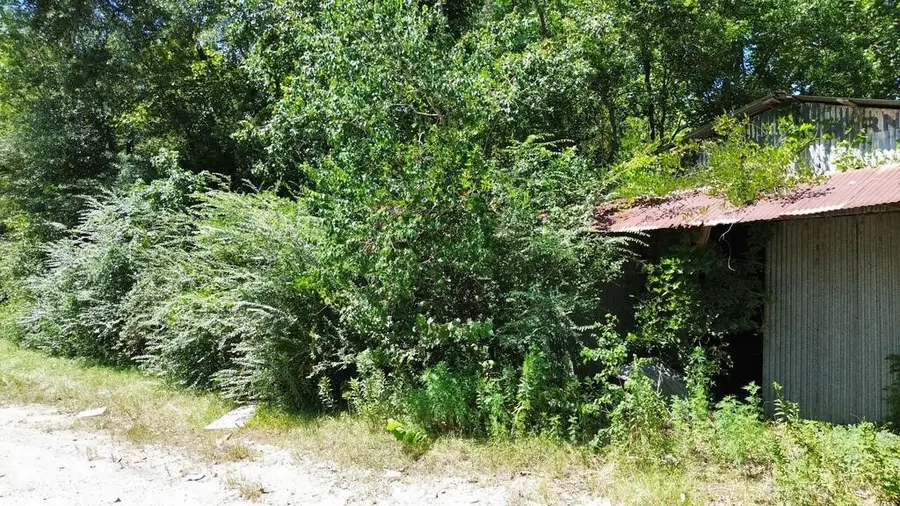 .48 AC Fm 1013 W, Kirbyville, TX 75956 - #3