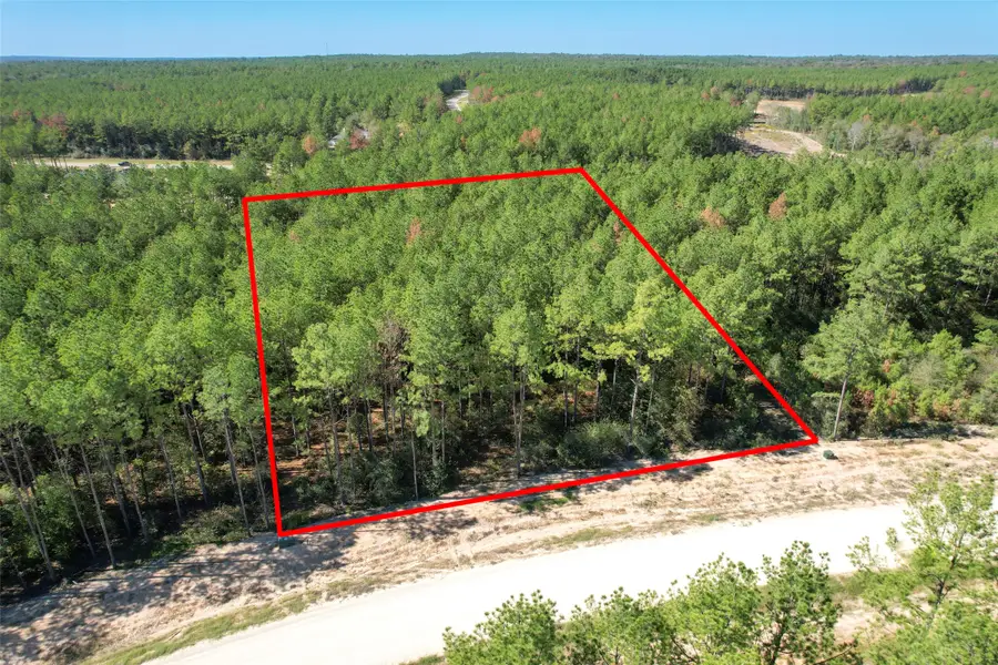 15409 Forest Grove Drive, Willis, TX 77378 - #2