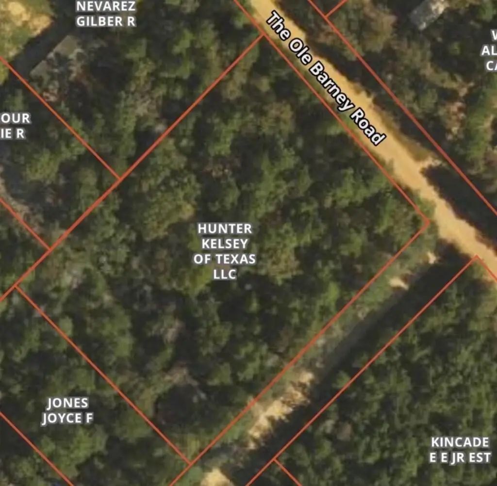 138 Barbara Trail, Livingston, TX 77351 - #1