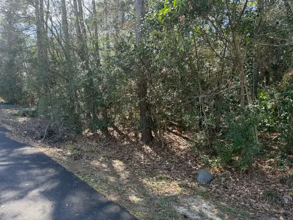 138 Paradise Valley Drive, Conroe, TX 77304