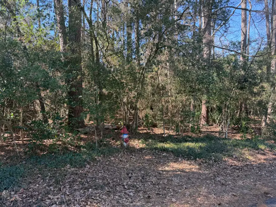 138 Paradise Valley Drive, Conroe, TX 77304 - #3