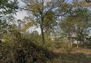 0 Felicia, Houston, TX 77091 - #3