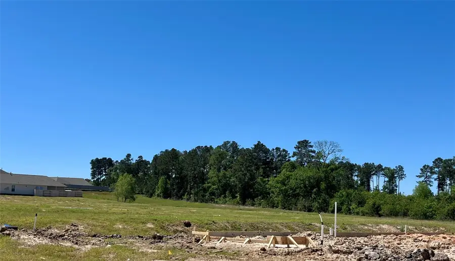 40745 Mostyn Lake Drive, Magnolia, TX 77354 - #3