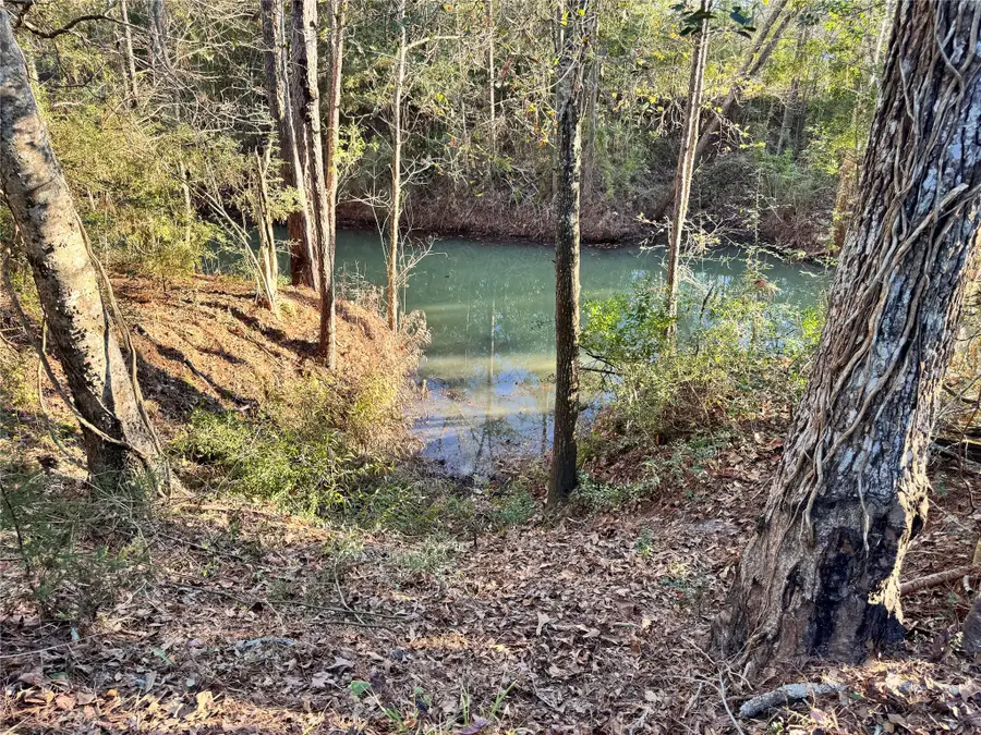 Lot 98 Barbil Lane, Huffman, TX 77336 - Image #2