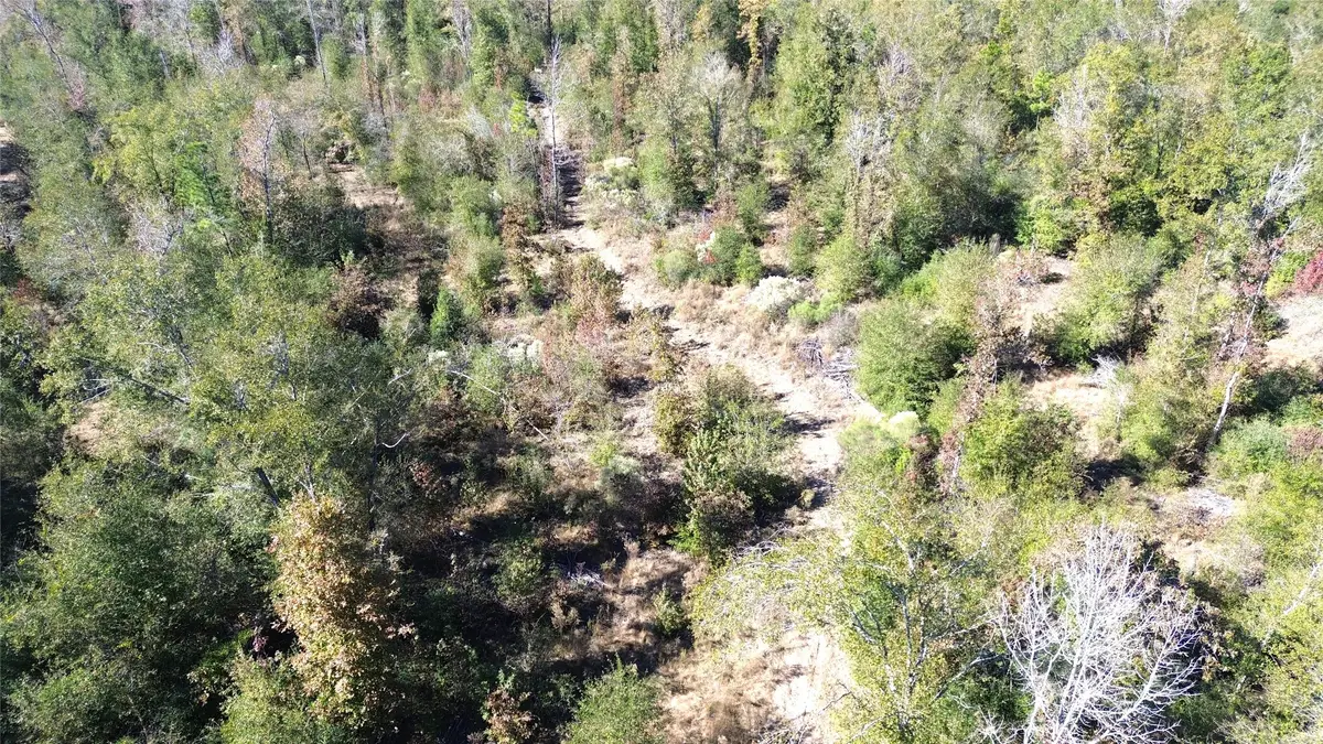 TBD Fm 1280 East, Lovelady, TX 75851 - Image #1