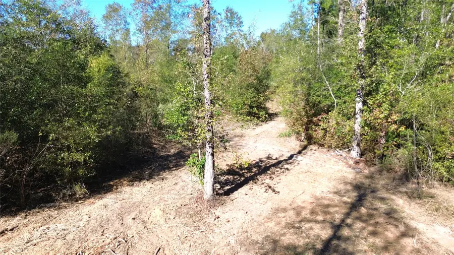 TBD Fm 1280 East, Lovelady, TX 75851 - Image #3