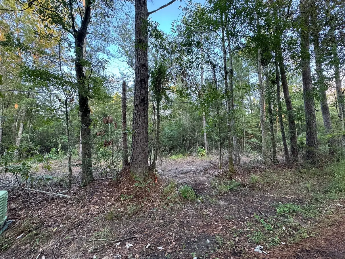 730 Cr 459, Kirbyville, TX 75956 - Image #1