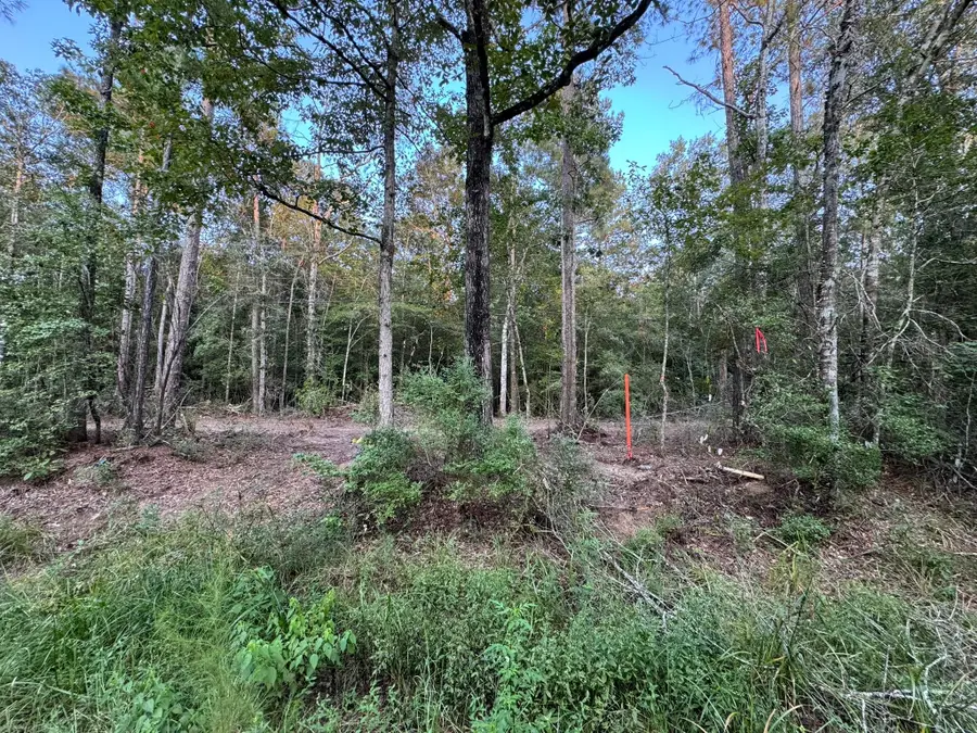 730 Cr 459, Kirbyville, TX 75956 - Image #3