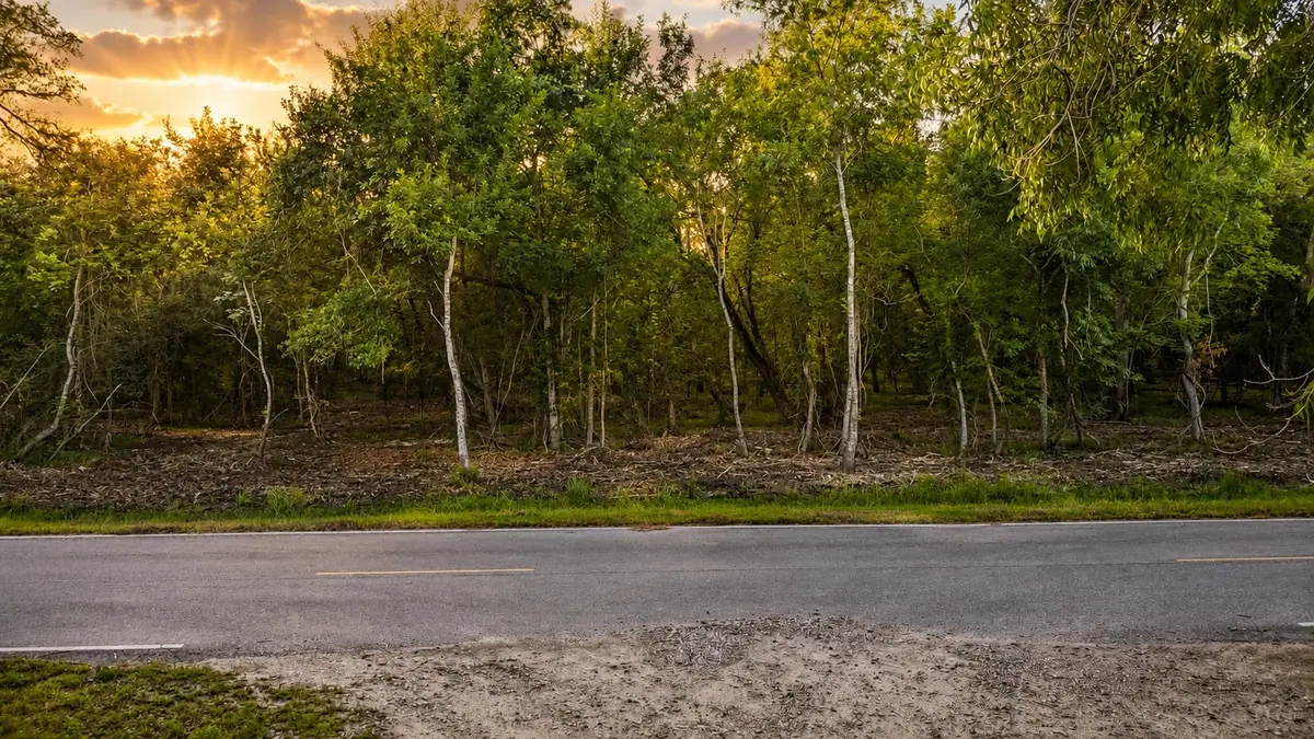 TBD 00 County Road 647, Guy, TX 77444 - #1