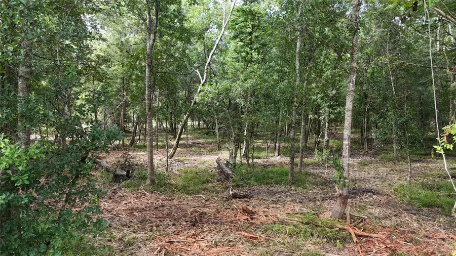 TBD 00 County Road 647, Guy, TX 77444 - #2