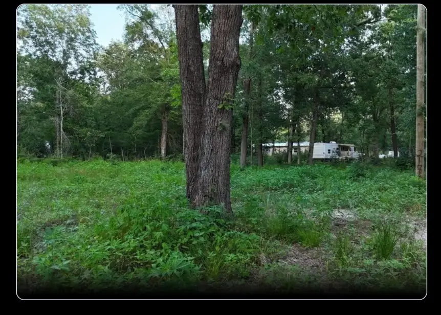 000 Panther Lane, Livingston, TX 77351 - #3