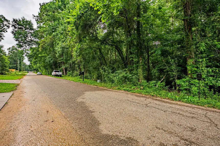 #TBD Royal Springs Road, Conroe, TX 77303 - #2