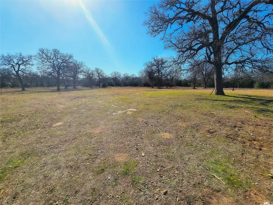 8383 Fm-60, Somerville, TX 77879 - Image #3