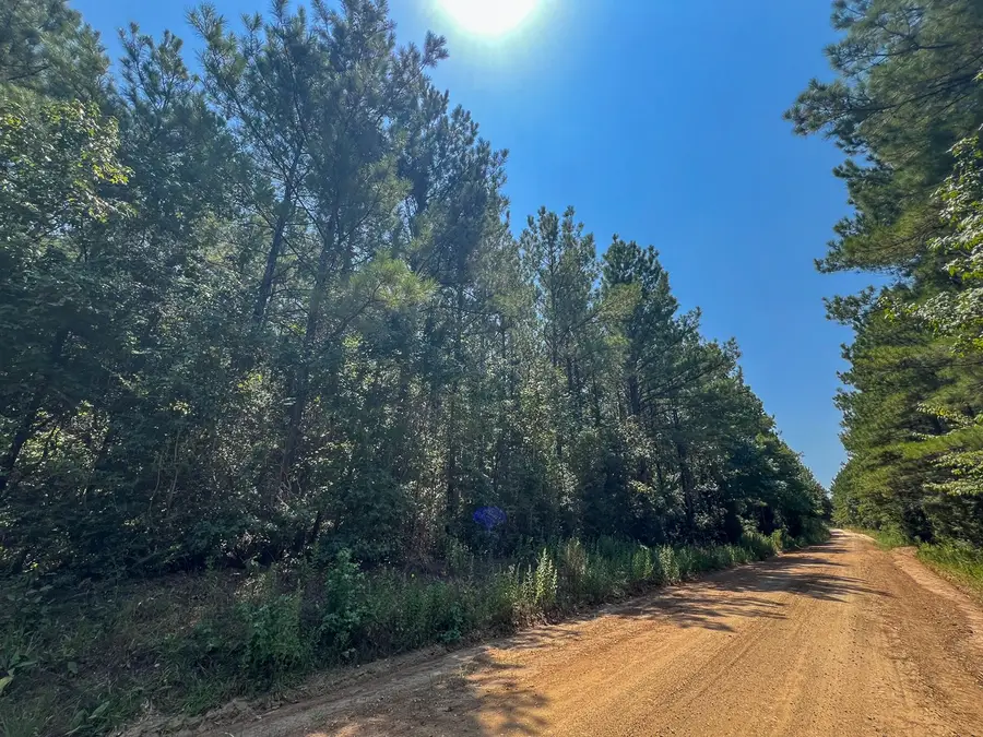3 County Road 3230, Colmesneil, TX 75938 - #3