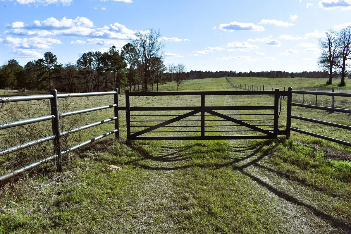 8084 E County Road 212, Buffalo, TX 75831 - Image #1