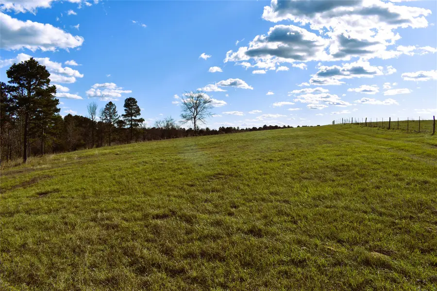 8084 E County Road 212, Buffalo, TX 75831 - Image #3