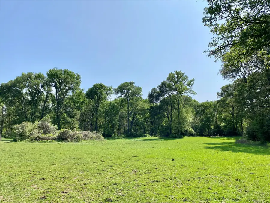 1985 County Road 309, Lexington, TX 78947 - Image #3