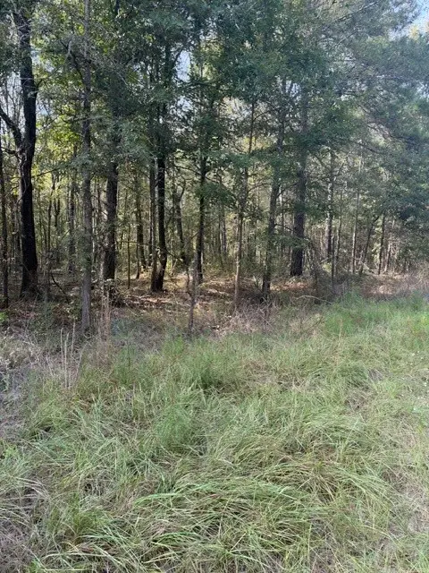 000 Wood Forest, Livingston, TX 77351