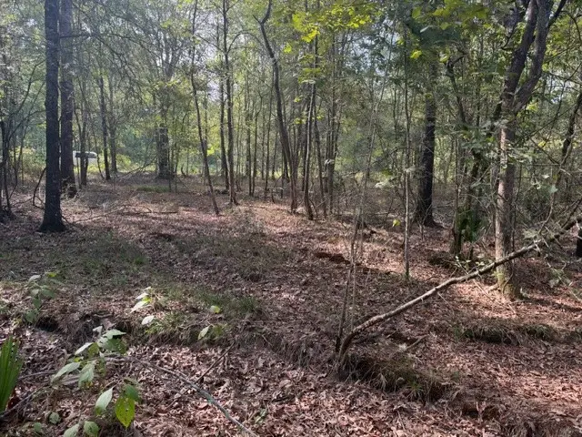 000 Wood Forest, Livingston, TX 77351 - #2